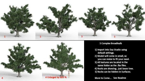 5 Complex Broadleafs