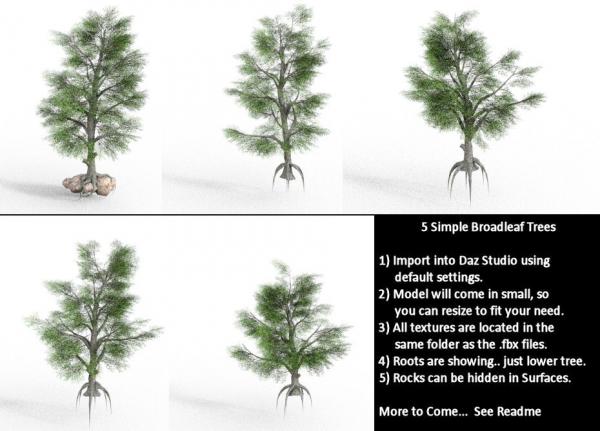 5 Simple Broadleaf Trees