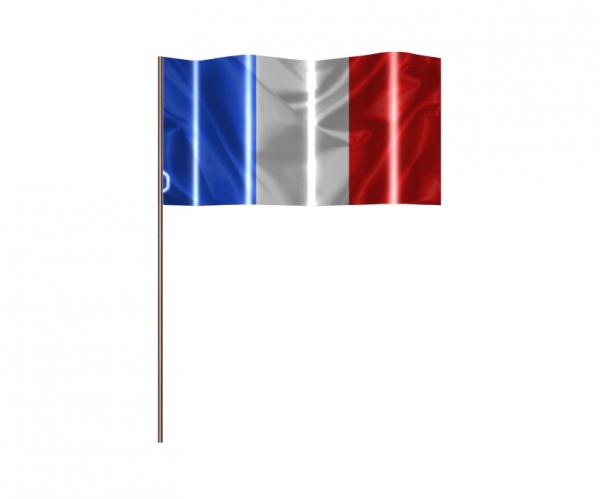 flag / drapeau