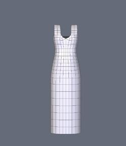 Starter Dress for Victoria 4