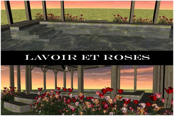 LAVOIR_ROSES