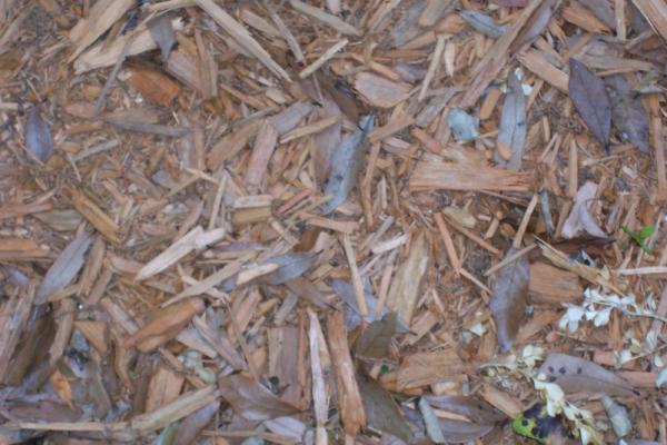 Woodchips