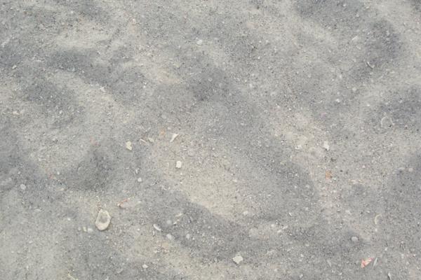 Wavy Beach Sand