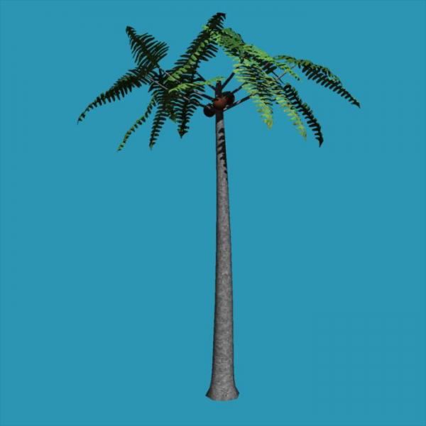 Tree Carrara unrealistic Palm tree