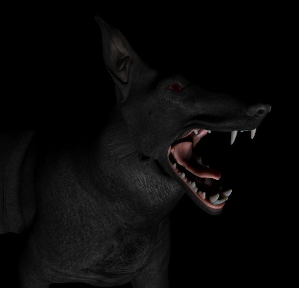 Dark Dog...