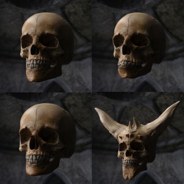 FREE Skull Prop With Face Presets &amp; Scars