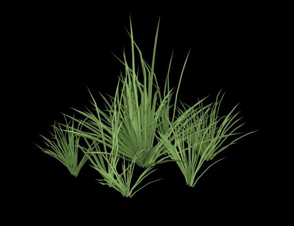 Grass Prop 02 for Daz Studio UltraScatter - low po