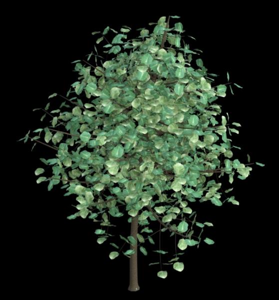 Tree Prop Daz Studio Unrealistic