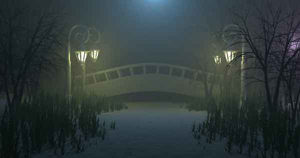 Foggy Night Lake Scene