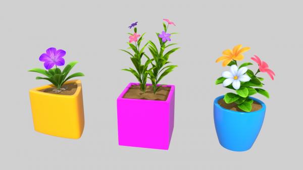 flower pot