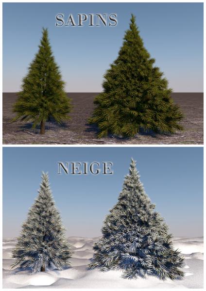 SAPINS et NEIGES