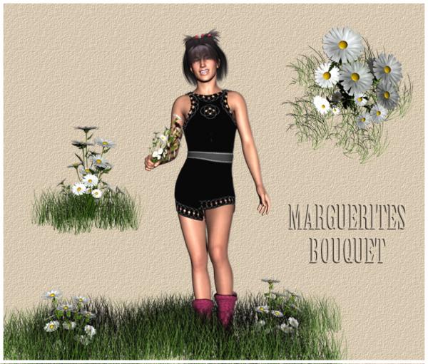 MARGUERITES_BOUQUET