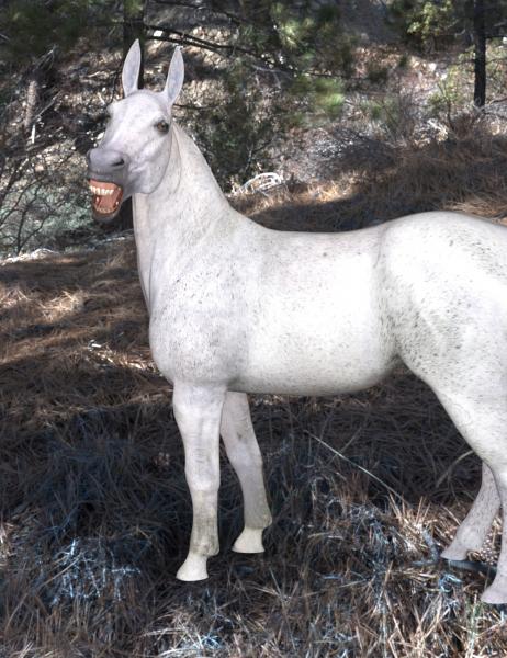 Mule Morph for Daz3D Horse 2