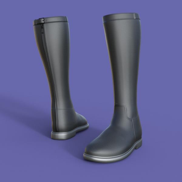 Flat Boots for Genesis 8 Female - DAZ Studio - ShareCG