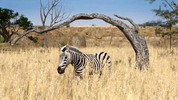 Masai_Mara_River