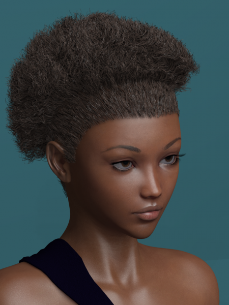 Stylish Afro Hair