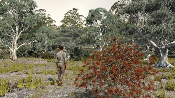 Australian Bushland for DAZ