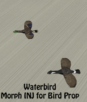 Waterfowl INJ for Poser Low-Poly Bird Prop