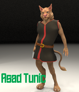 Conforming and Dynamic Tunic for VP Asad