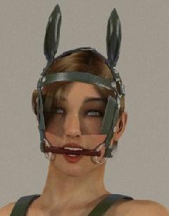 Ponygirl Hood Head Gear