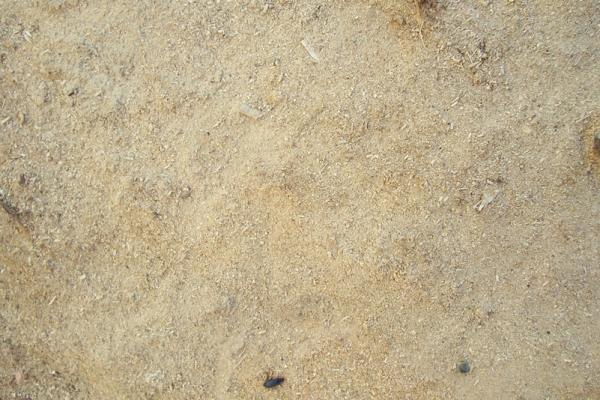 Ground texture 02