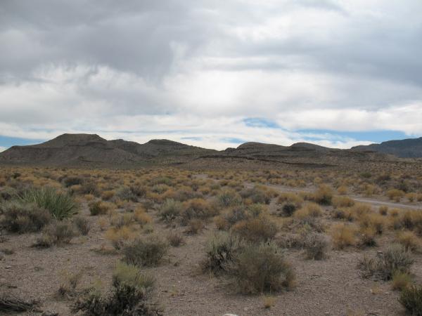 Desert Background