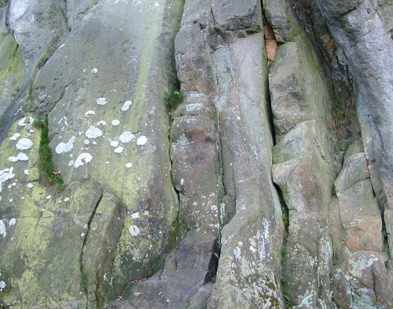 Rock with lichen 2