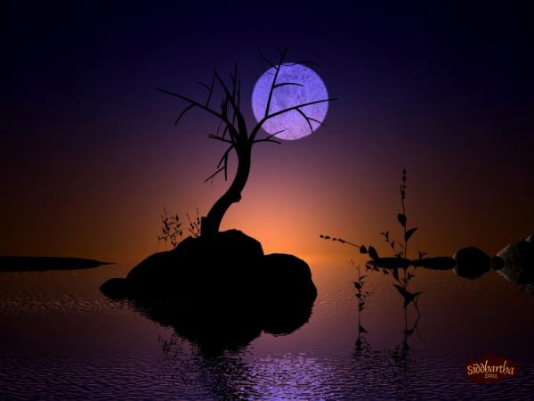 moonrise 3dsmax