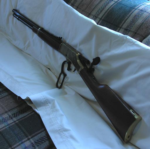 Gun Reference Pics - Henry Golden Boy .44 Rifle