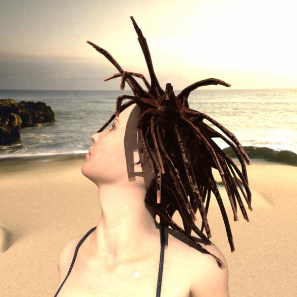 Dreadlocks Shader for Carrara6