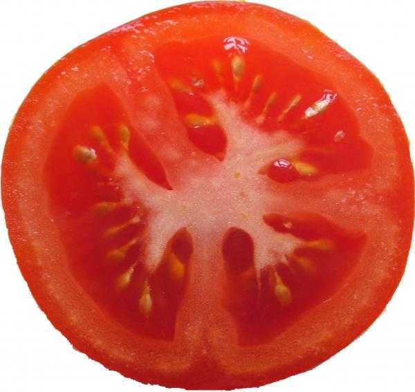 TomatoSlice