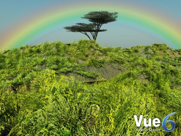 Tree Rainbow scene must see