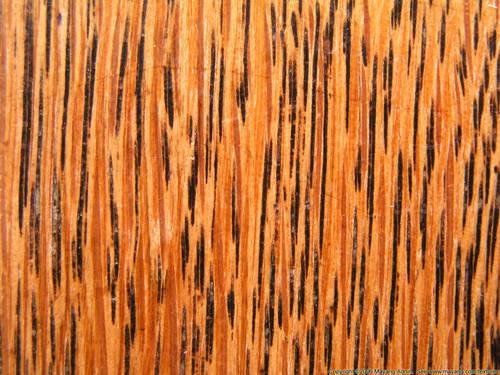 Wood Grain Texture