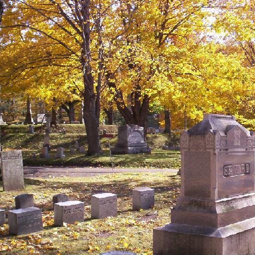 Mt Albion Cemetery #2