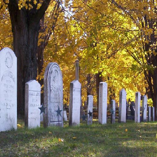 Mt Albion Cemetery #15