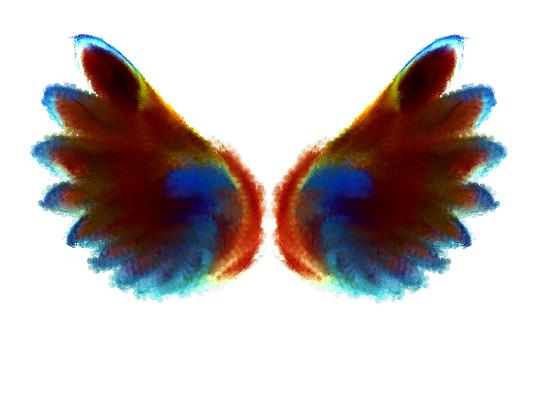 Wings-Fractal 17-RMA-2007