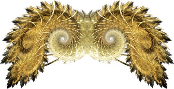 Wings-Fractal 19-RMA-2008