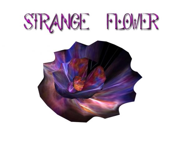 Strange Flower