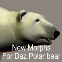 Polar Bear Morph