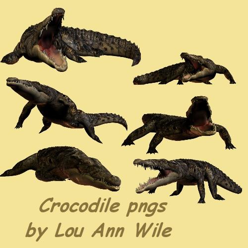 Crocodile pngs