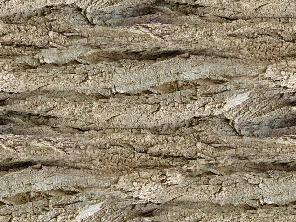 RoughBark