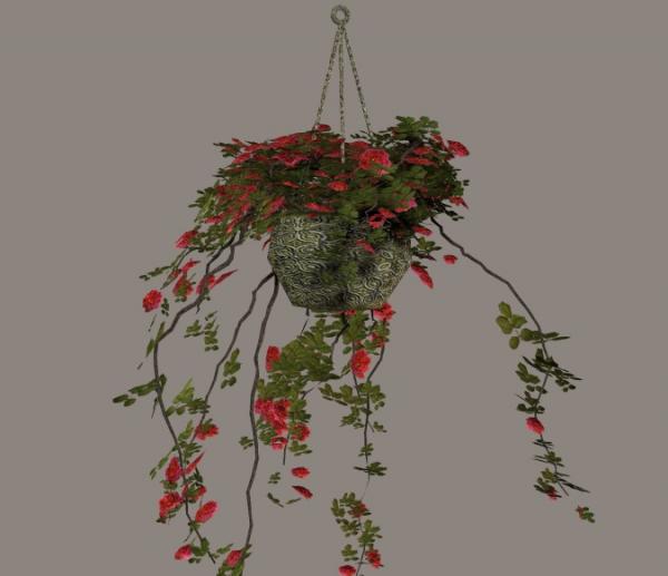 Hanging pot with roses (poser prop)