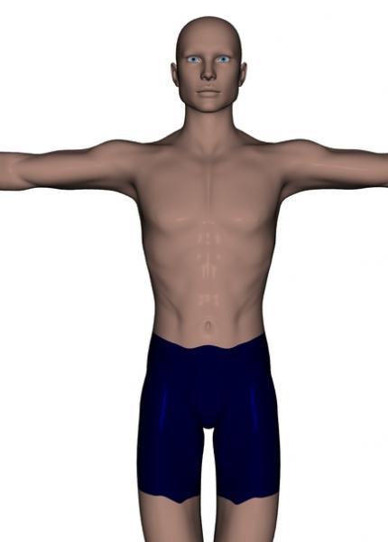 V4 male morph base