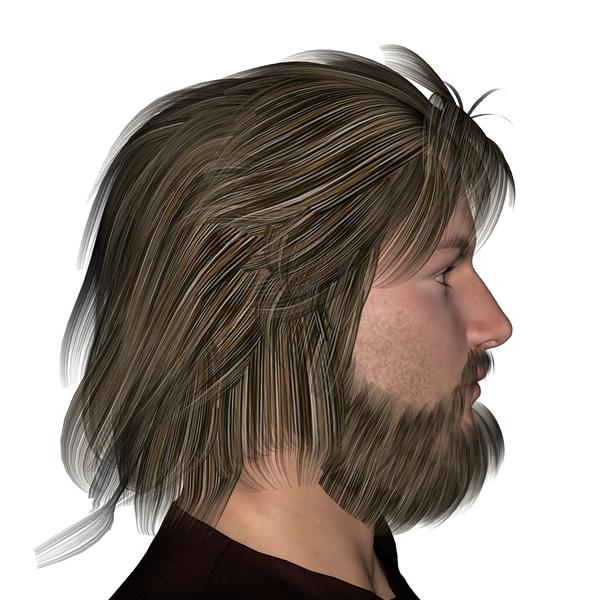 Michael's Fantasy Beard Fit to M4 - Poser - ShareCG