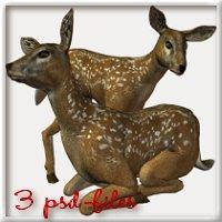 3 psd-files "fawn"