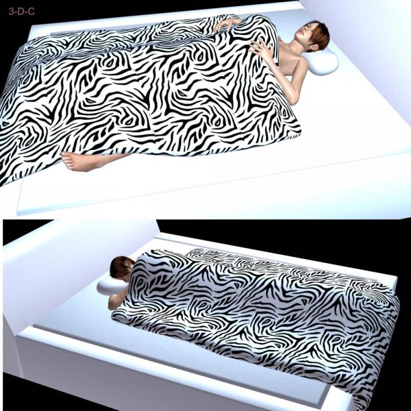 Morphable Blanket 3D Model ShareCG