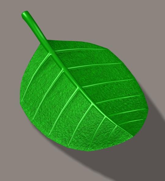 Toon Styled Leaf Prop