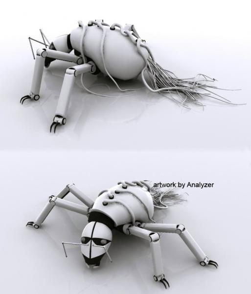 Ant