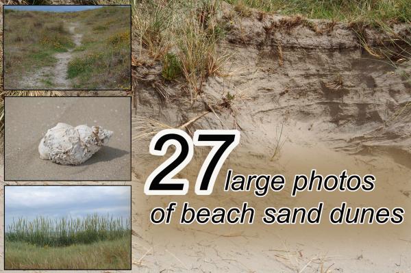 Beach sand dunes