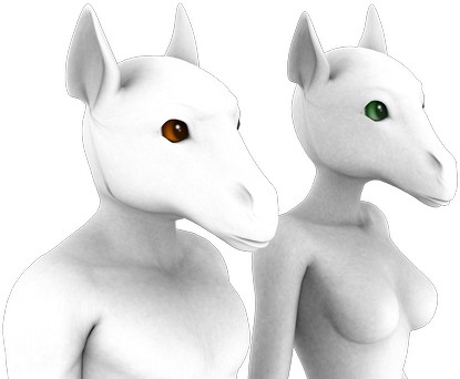 Furries Horse Heads